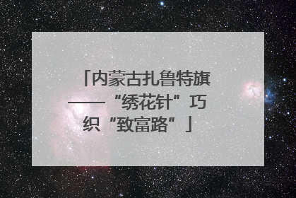 内蒙古扎鲁特旗——“绣花针”巧织“致富路”