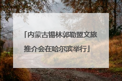 内蒙古锡林郭勒盟文旅推介会在哈尔滨举行