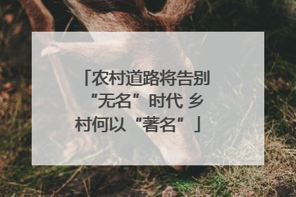 农村道路将告别“无名”时代 乡村何以“著名”