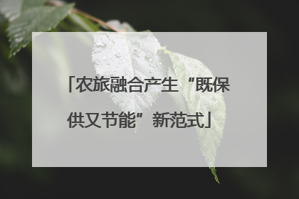 农旅融合产生“既保供又节能”新范式