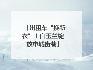 出租车“换新衣”！白玉兰绽放申城街巷