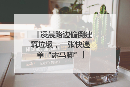 凌晨路边偷倒建筑垃圾，一张快递单“露马脚”