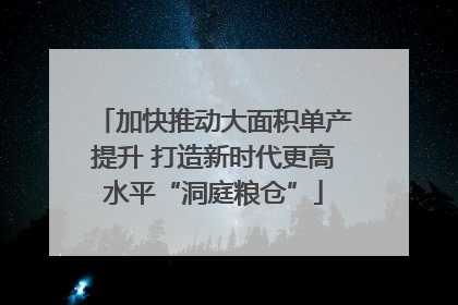 加快推动大面积单产提升 打造新时代更高水平“洞庭粮仓”
