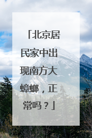 北京居民家中出现南方大蟑螂，正常吗？