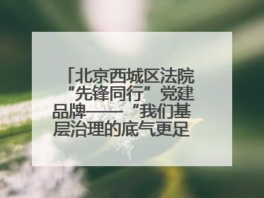 北京西城区法院“先锋同行”党建品牌——“我们基层治理的底气更足了！”