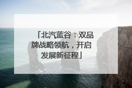北汽蓝谷：双品牌战略领航，开启发展新征程