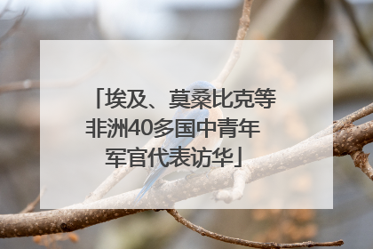 埃及、莫桑比克等非洲40多国中青年军官代表访华
