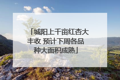 城阳上千亩红杏大丰收 预计下周各品种大面积成熟