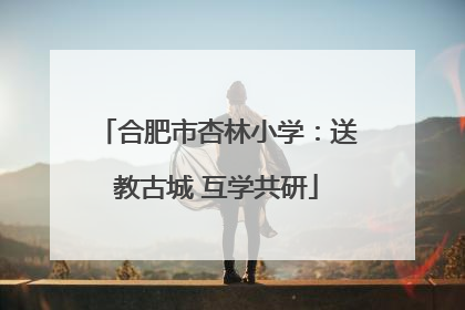 合肥市杏林小学：送教古城 互学共研
