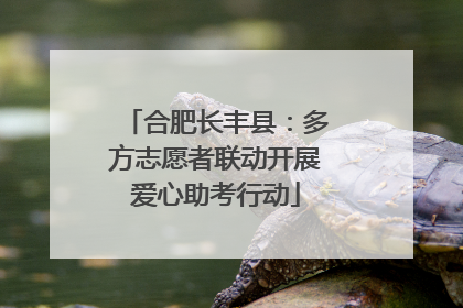 合肥长丰县：多方志愿者联动开展爱心助考行动