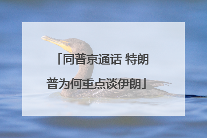同普京通话 特朗普为何重点谈伊朗