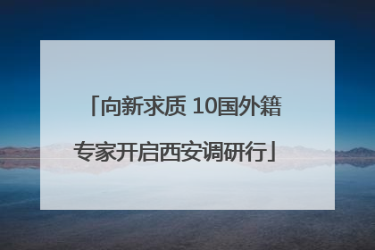向新求质 10国外籍专家开启西安调研行