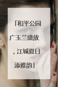 和平公园广玉兰盛放，江城夏日添雅韵