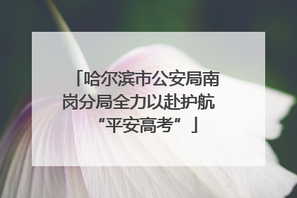 哈尔滨市公安局南岗分局全力以赴护航“平安高考”