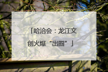哈洽会：龙江文创火爆“出圈”