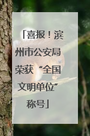 喜报！滨州市公安局荣获“全国文明单位”称号
