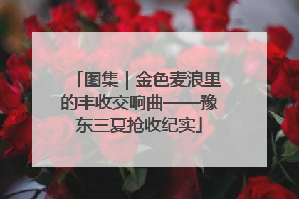 图集｜金色麦浪里的丰收交响曲——豫东三夏抢收纪实