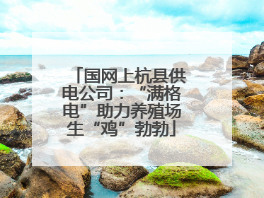 国网上杭县供电公司：“满格电”助力养殖场生“鸡”勃勃