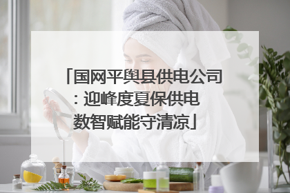 国网平舆县供电公司：迎峰度夏保供电  数智赋能守清凉