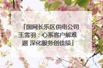国网长乐区供电公司王雪羽：心系客户解难题 深化服务创佳绩