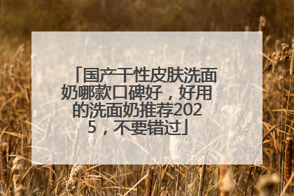 国产干性皮肤洗面奶哪款口碑好，好用的洗面奶推荐2025，不要错过