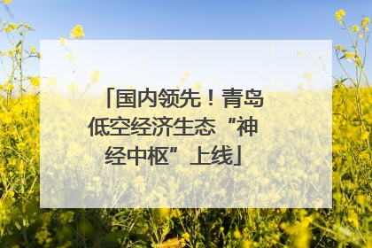 国内领先！青岛低空经济生态“神经中枢”上线