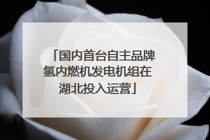 国内首台自主品牌氢内燃机发电机组在湖北投入运营