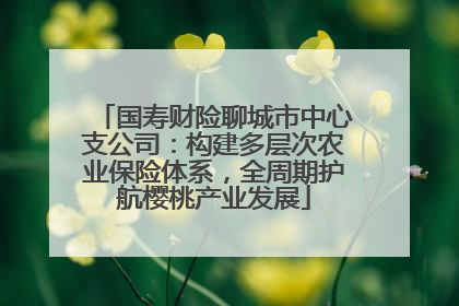 国寿财险聊城市中心支公司：构建多层次农业保险体系，全周期护航樱桃产业发展