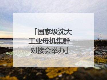 国家级沈大工业母机集群对接会举办