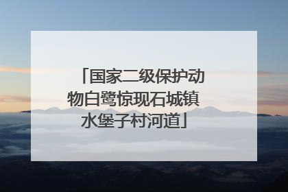 国家二级保护动物白鹭惊现石城镇水堡子村河道
