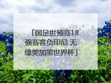 国足世预赛18强赛客负印尼 无缘美加墨世界杯