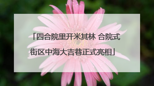 四合院里开米其林 合院式街区中海大吉巷正式亮相