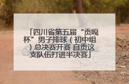 四川省第五届“贡嘎杯”男子排球（初中组）总决赛开赛 自贡这支队伍打进半决赛