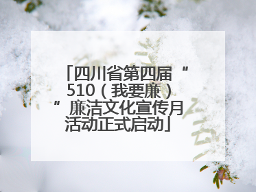 四川省第四届“510（我要廉）”廉洁文化宣传月活动正式启动