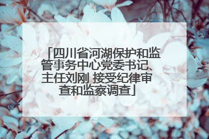 四川省河湖保护和监管事务中心党委书记、主任刘刚 接受纪律审查和监察调查