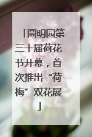 圆明园第三十届荷花节开幕，首次推出“荷梅”双花展