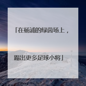 在杨浦的绿茵场上，踢出更多足球小将