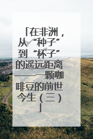 在非洲，从“种子”到“杯子”的遥远距离——一颗咖啡豆的前世今生（三）