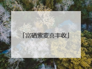 富硒紫麦喜丰收