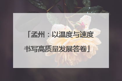 孟州：以温度与速度书写高质量发展答卷