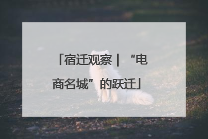 宿迁观察｜“电商名城”的跃迁