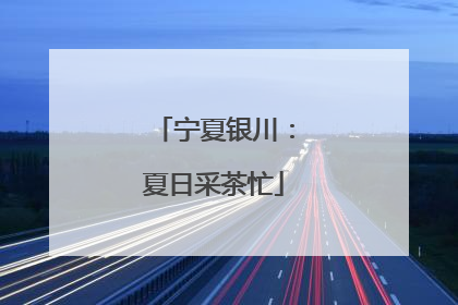宁夏银川：夏日采茶忙