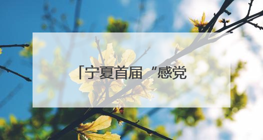 宁夏首届“感党恩·国家奖学金学子亲身说”资助育人演讲比赛落幕