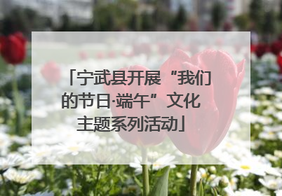 宁武县开展“我们的节日·端午”文化主题系列活动