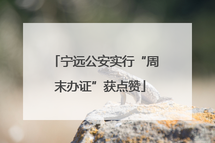 宁远公安实行“周末办证”获点赞