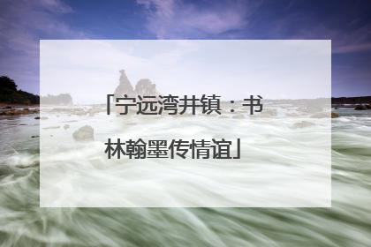 宁远湾井镇：书林翰墨传情谊