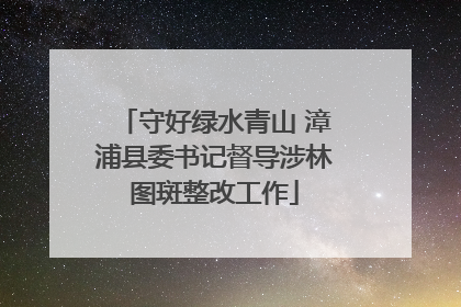 守好绿水青山 漳浦县委书记督导涉林图斑整改工作