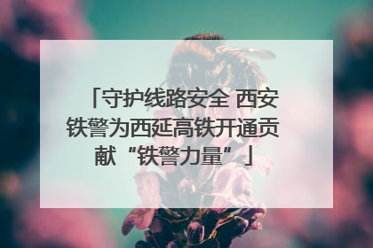 守护线路安全 西安铁警为西延高铁开通贡献“铁警力量”