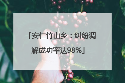 安仁竹山乡：纠纷调解成功率达98%