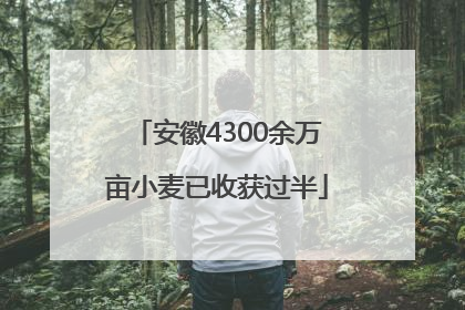 安徽4300余万亩小麦已收获过半